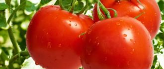 удобрения для помидоров